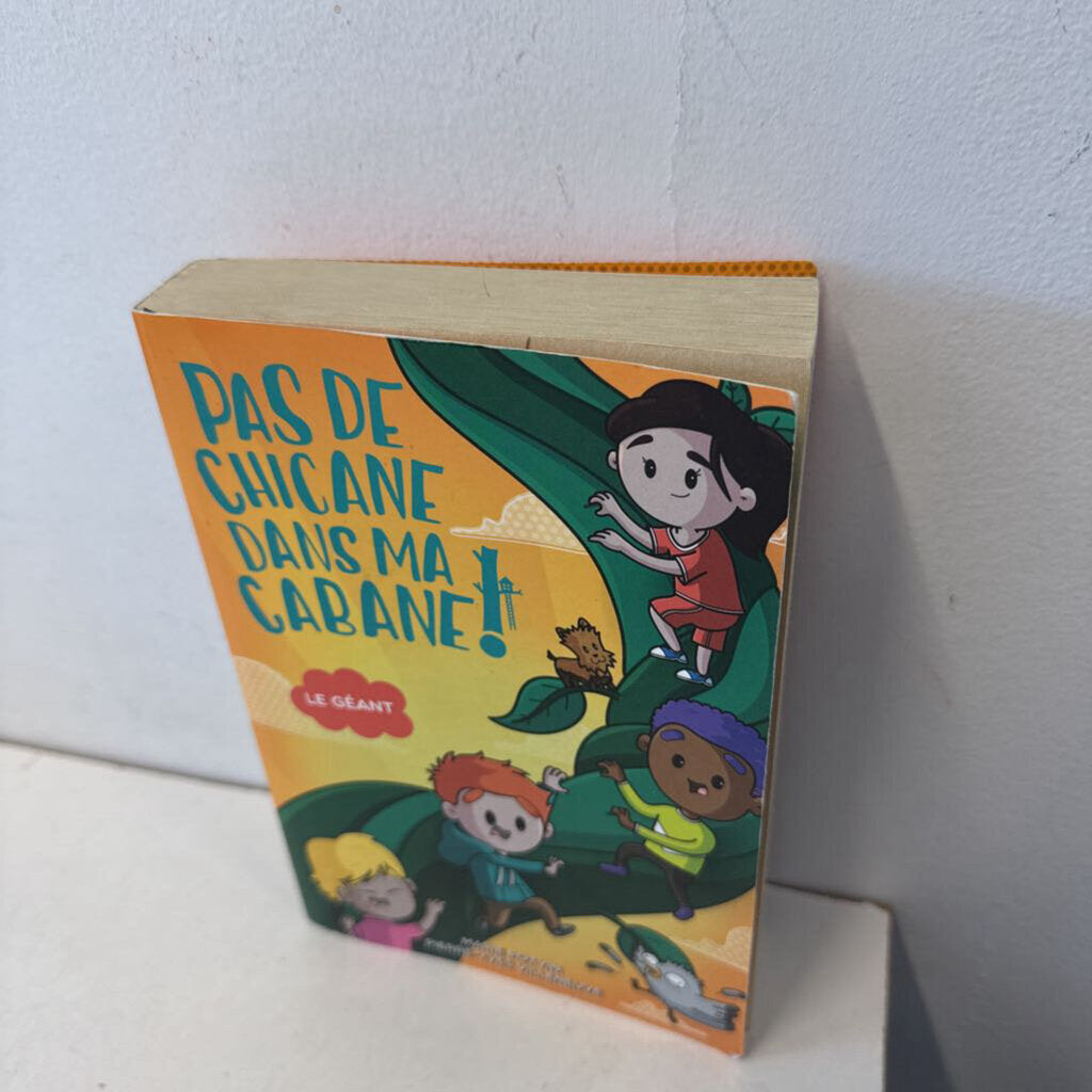Pas de Chicane dans ma cabane