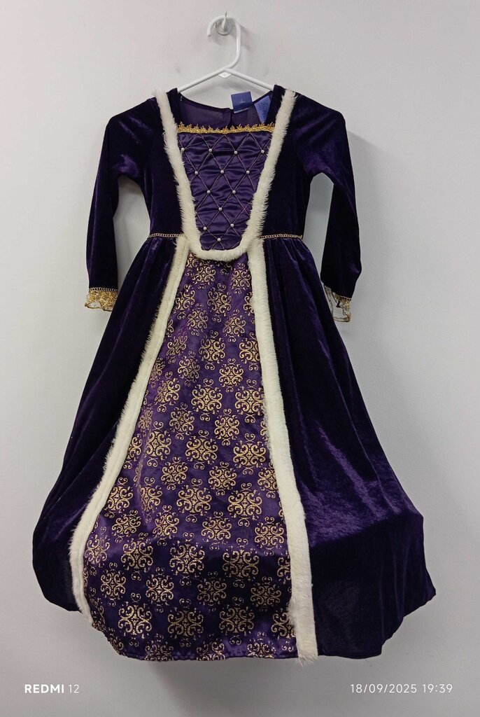costume princesse