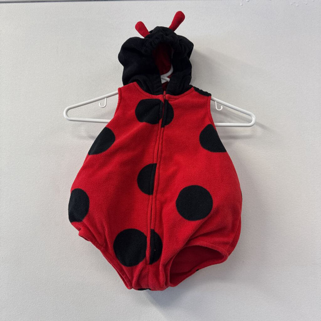 costume coccinelle