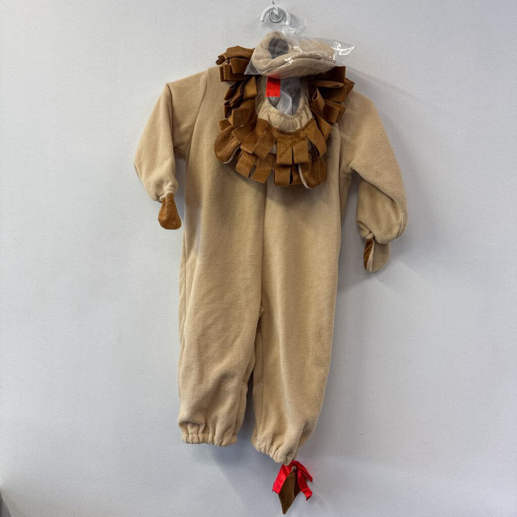 costume lion