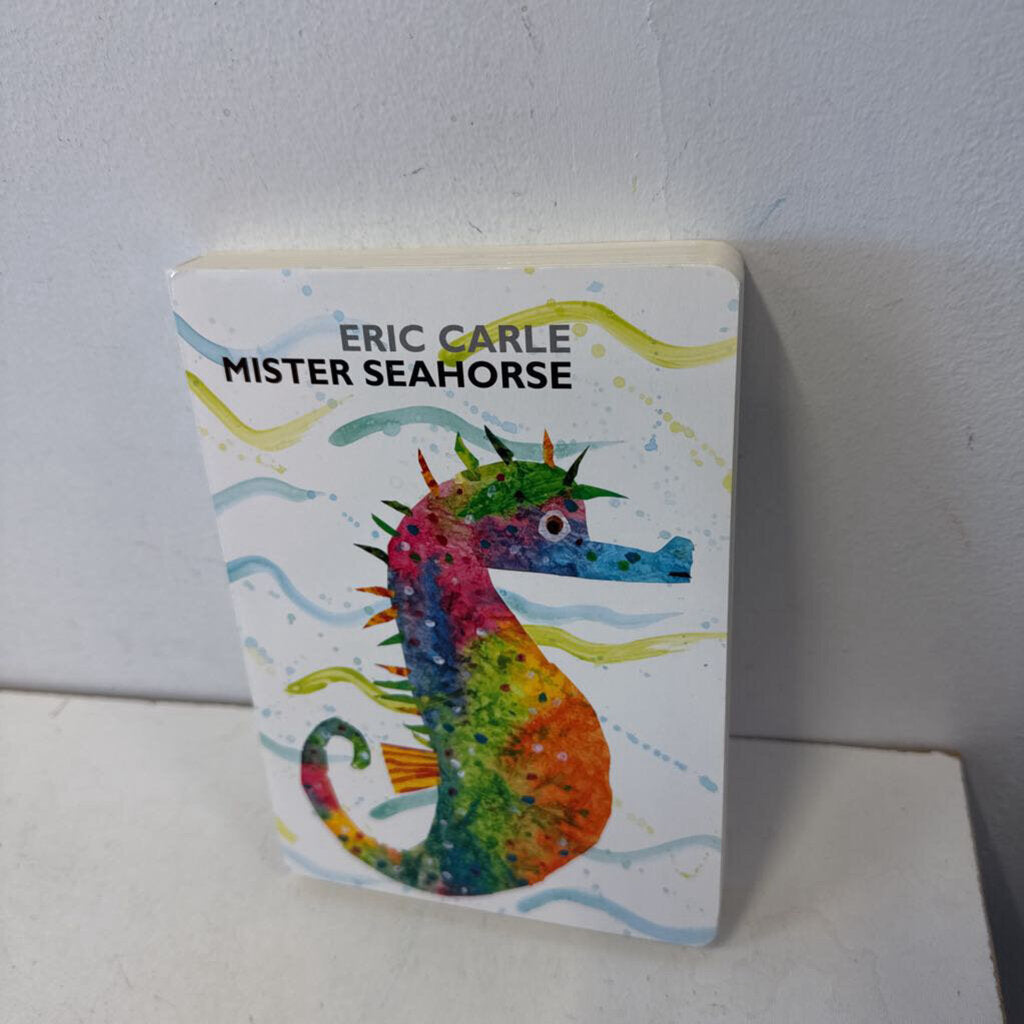 Mister Seahorse