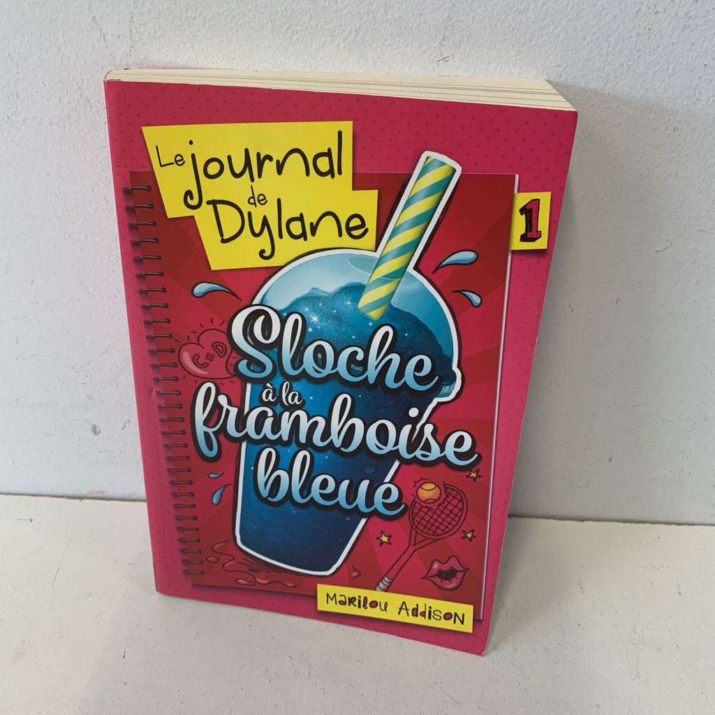 Le journal de Dylane