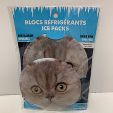 Charger l'image dans la galerie, Blocs Refrigerants (divers styles)
