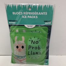 Charger l'image dans la galerie, Blocs Refrigerants (divers styles)
